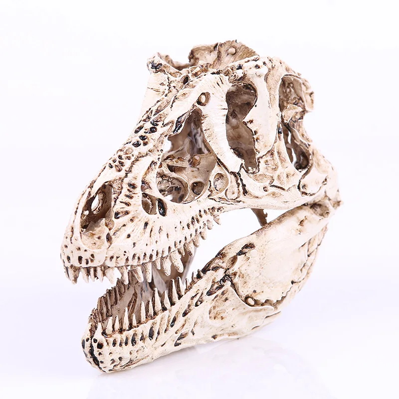 

Bawang Dragon Bone Resin Crafts, Personalized Skull Decoration, Dinosaur Skeleton, Aquarium Decorations, Fish Tank Accessories