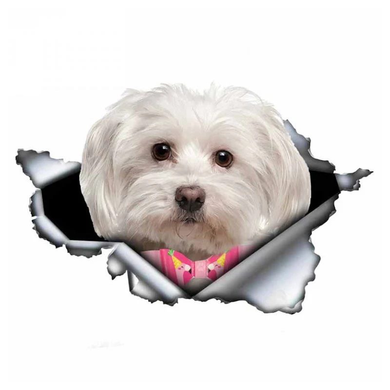 A0108 #13 Cm/20Cm Zelfklevend Sticker Schattige Maltese Hond Auto Sticker Waterdichte Auto Decors Op Bumper Achterruit Laptop