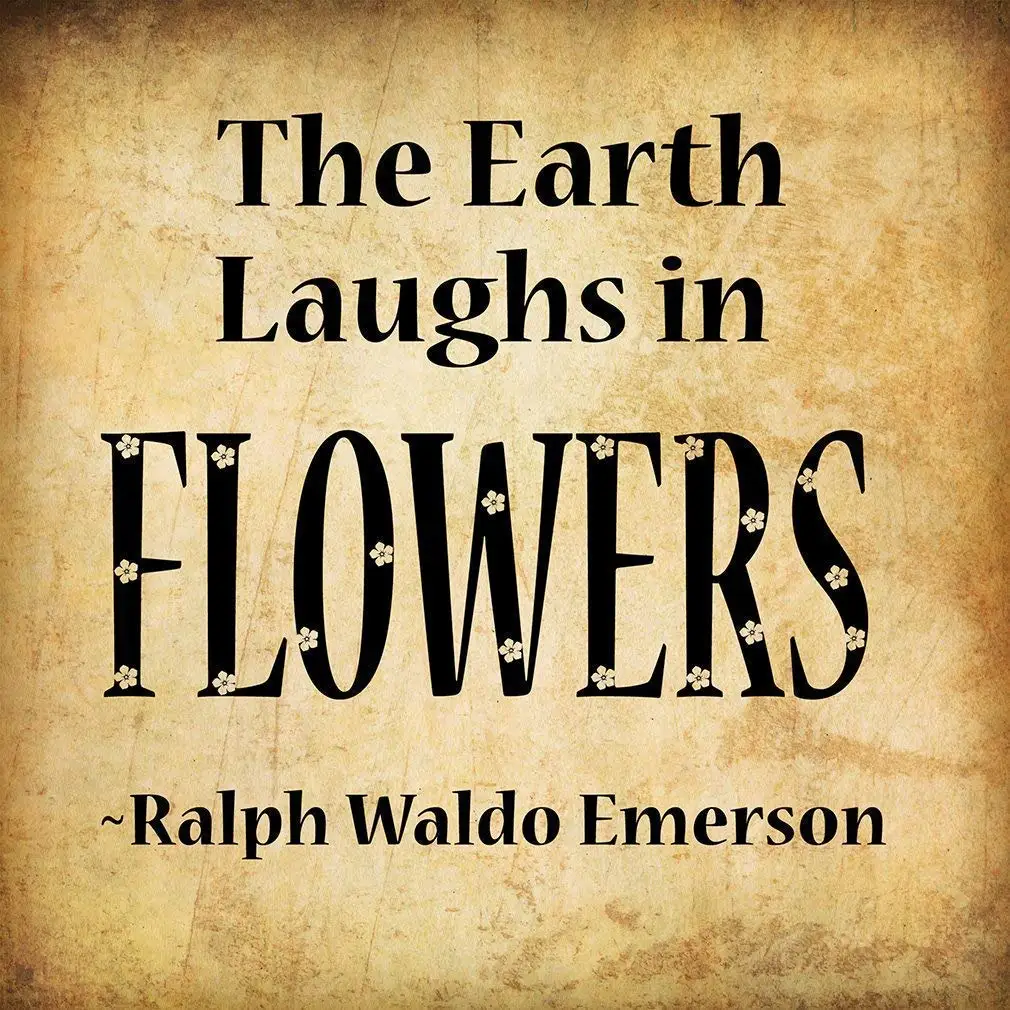 Guadalupe Ross Metal  The Earth Laughs in Flowers Funny Relax #1 Wall Decor Metal Sign 12x8 Inches