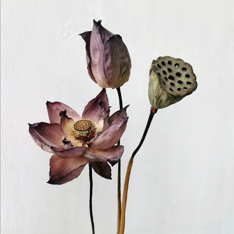 

1Pcs Real Plants Lotus Dried Natural Flowers Beauty for Glamour Home Decor Desk Party Office Living Room Artificial Crafts