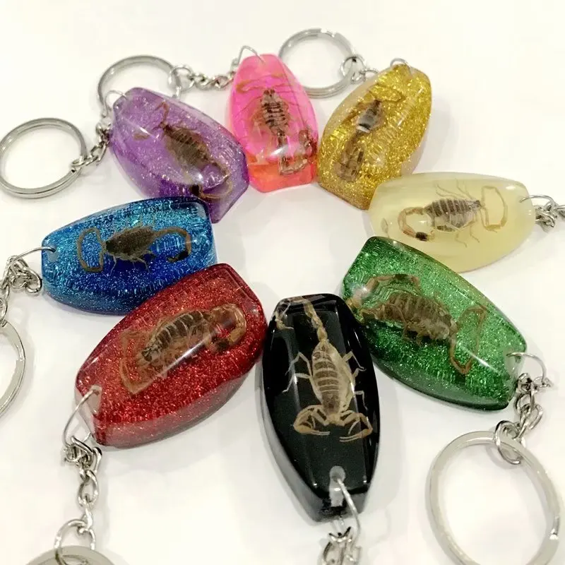 

10 pcs New Style Keychain Mixed Colorful Charming cool Specimen