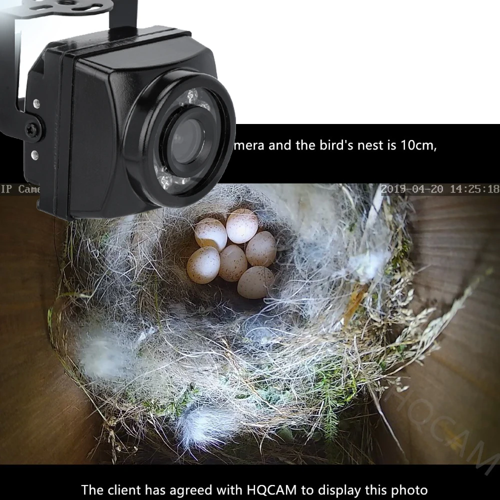 Mini Caméra d\'Observation des Oiseaux avec Vision Nocturne, Étanche, Wifi, Sans Fil, IP, 32G RTMP 1080P, Kit Audio, Nid d\'Animaux de Compagnie