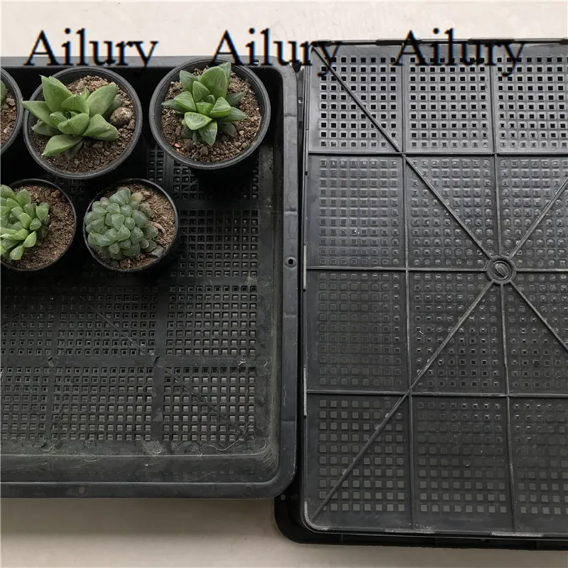 Small Black Square Seedling Tray,Fleshy Leaf Inserting Pot,Seedling Plate,Bean Sprouts,Vegetable Plate Flower Move