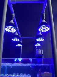 Luz LED de arrecife de Acuario, lámpara de cultivo de 54w, Bombilla de tanque de peces de Coral, agua salada, planta de nanotoro, SPS, LPS