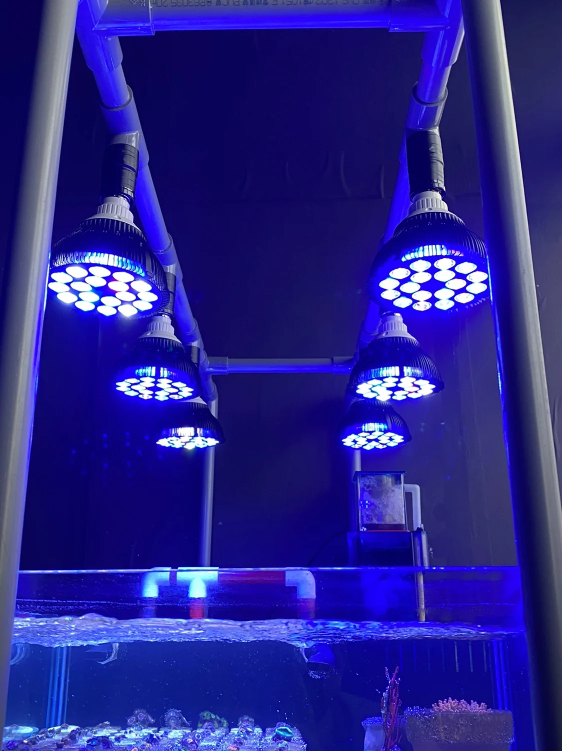 Pełnospektralna lampa LED do akwarium, oświetlenie dla raf, żarówka do akwarium z rybami, do raf koralowych, akwariów słonowodnych, nanoakwariów, roślin, SPS, LPS