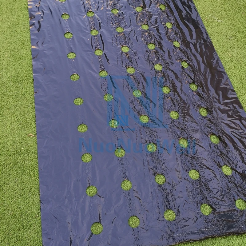 5M ~ 50M 5 otworów 95cm szerokość 0.02mm czarna folia PE ogród warzywny membrana siew rolniczy plastikowe perforowane rośliny Mulching