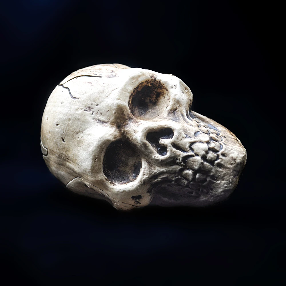 Halloween Schädel Dekoration Hohe Qualität Kunststoff Schädel Modell Anhänger Statue Skulptur Horror Requisiten Spukhaus Party Ornamente – Detail 7