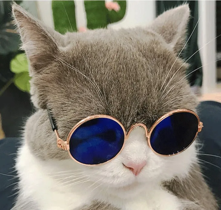 1 PC Pet Cat Glasses For Cats Dog Accessories Fashion Cute Eye-Wear Sunglasses  For Little Pets Photos Prop Pet Products