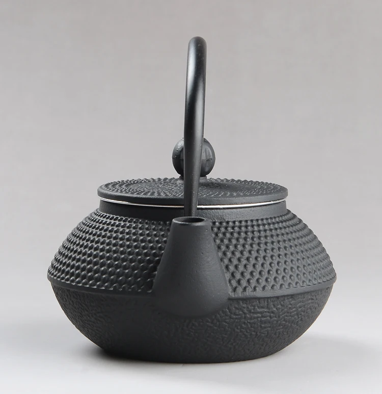 Small Japanese Iron Tea Pot with Stainless Steel Infuser Cast Iron Teapot 300ML Tea Kettle for Boiling Water Oolong Tea