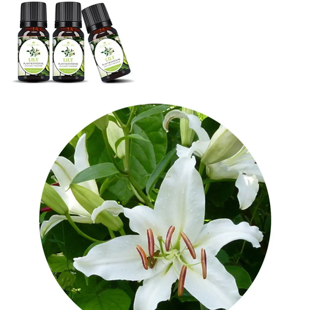 에센셜 오일 순수 천연 오스만 투스 로즈 천연 10ML 순수 에센셜 오일 아로마 디퓨저 에어 프레쉬 케어