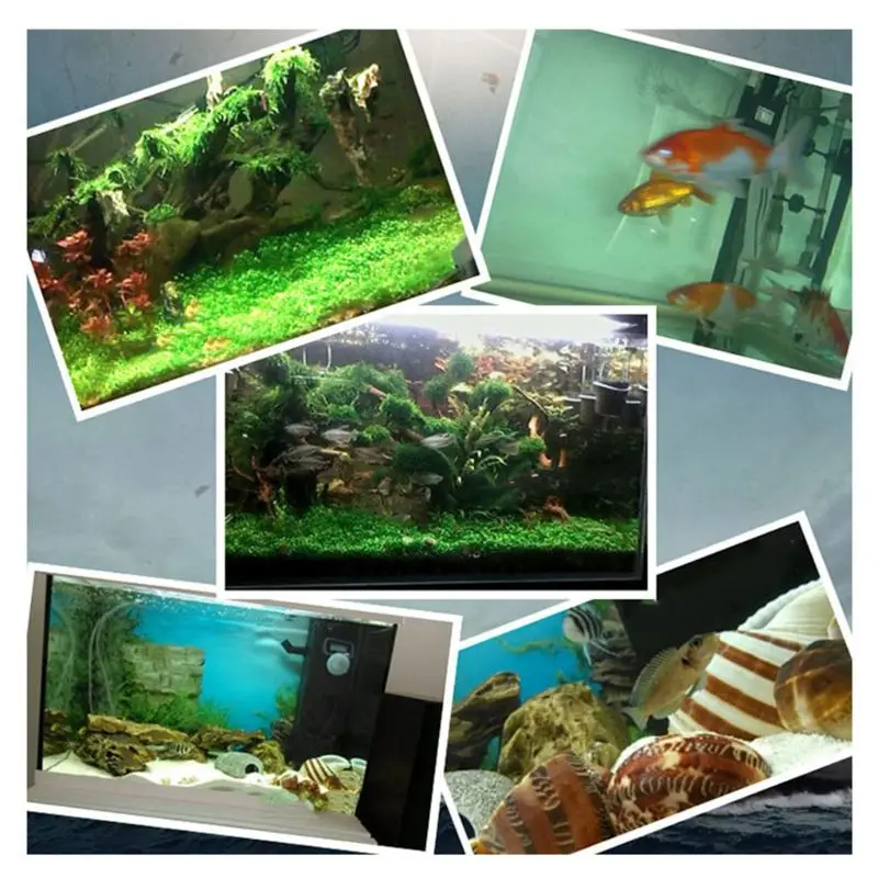 2021 New Aquarium Nitrifying Bacteria Super Concentrated Capsule Fish Tank Pond Cleaning Water Purifier Supply
