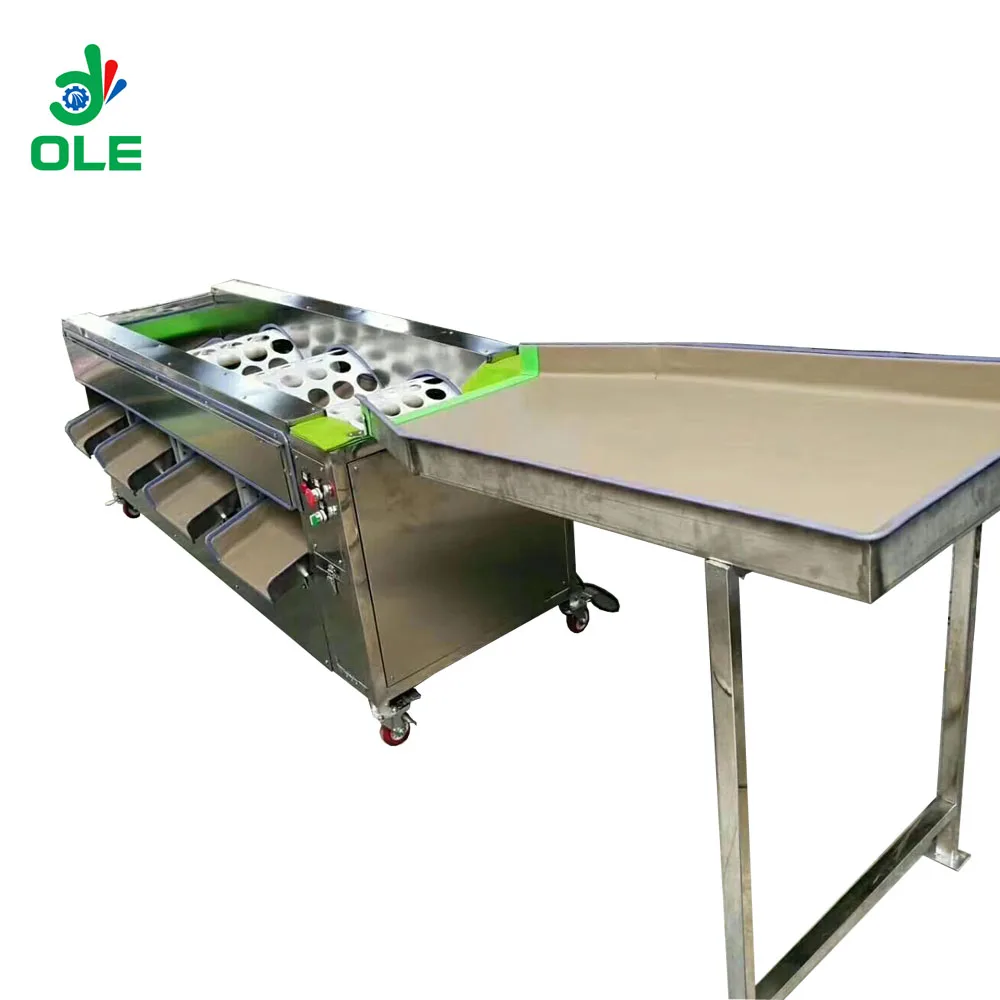 스테인레스 스틸 과일 분류 기계, 애플 오렌지 마늘 등급 기계