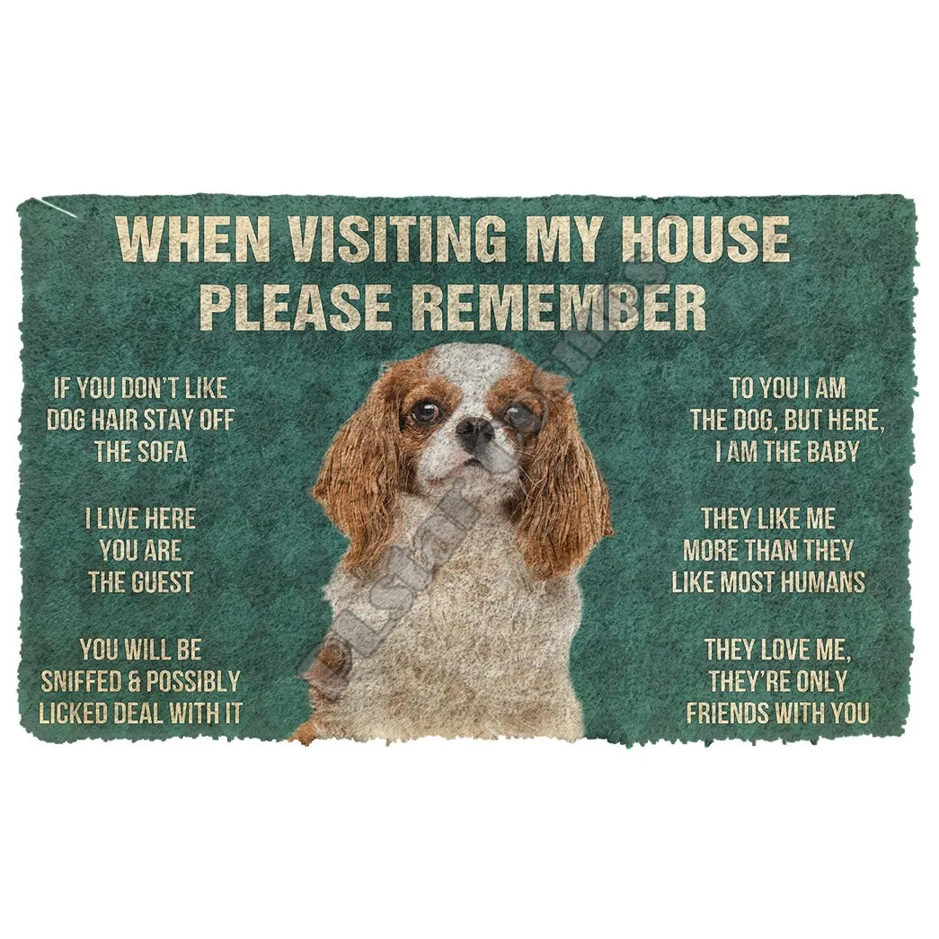 3D Please Remember Cavalier King Charles Spaniel Dogs House Doormat Indoor Doormat Non Slip Door Floor Mats Decor Porch Doormat