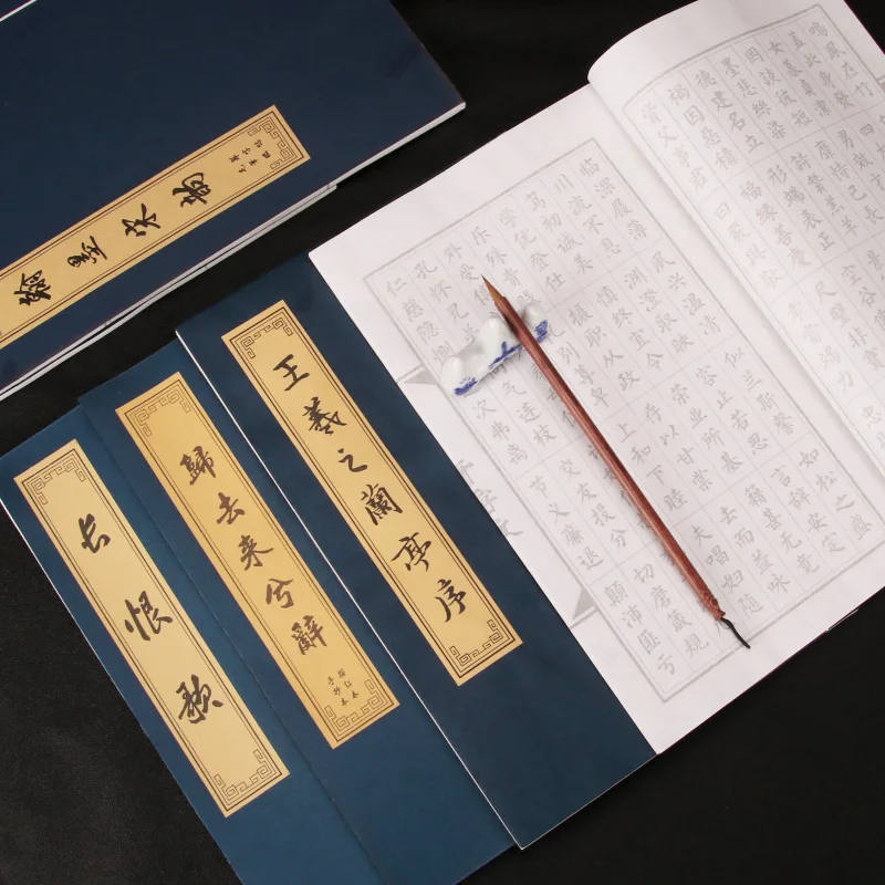 Chinese Character Calligraphy Book Multiple Type Soft Brush Calligraphie Book Adult Chinese Calligraphy Practice Copybooks