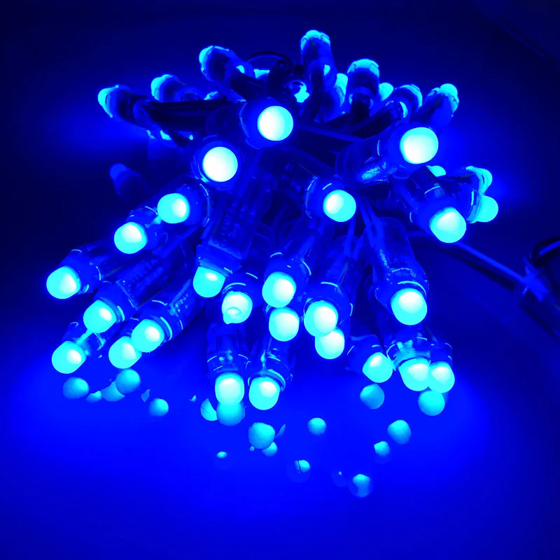 1000 Stuks Dc 5V Dc 12V Led Modules 12Mm Ip68 Waterdichte Full Color Digitale Diffuse Rgb Led Pixel Ws2811 2811