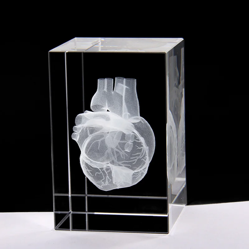 Heart Anatomy Model Design Cube Crystal 3D Laser Crystal Engraving With Detailed Visible Blood System For Hospital Souvenirs