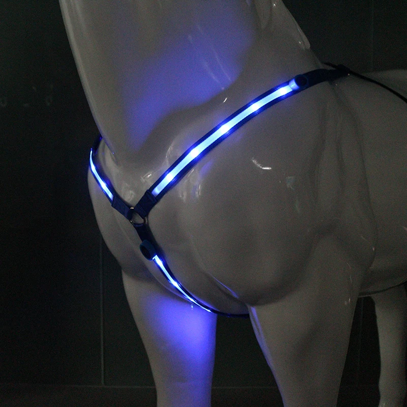 3PCS LED Horsing Riding Luminous Equestrian Suits Night Lights Visible Horse Equestrian Equipments Horse Legs Chest Tails Straps