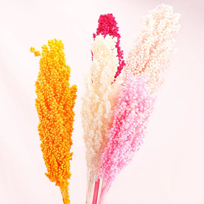 2pcs,Natural Dried Preserved Sorghum Ear Bouquet,Eternelle Display Flowers For Wedding Home Room Decoration Table Accessories