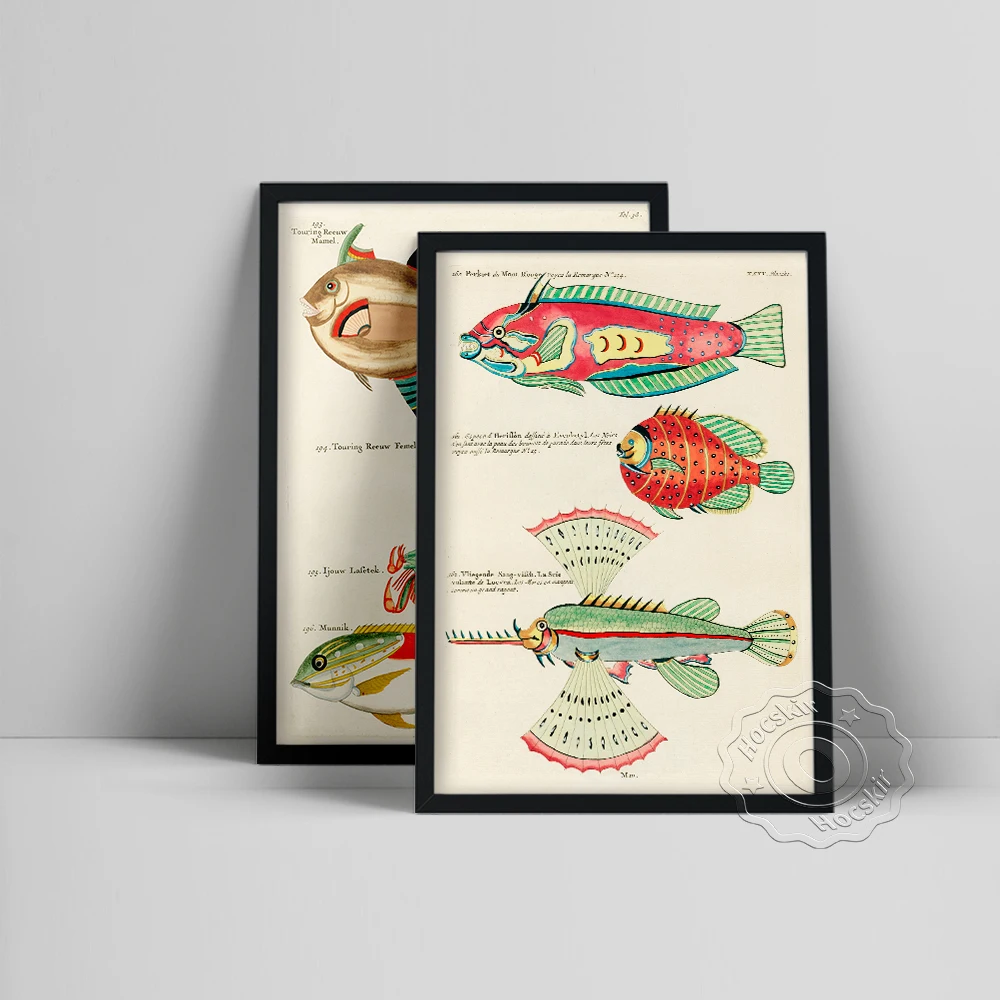 Louis Renard World Fish Prints, Vintage Fishing Wall Art, Whimsical Fish Marine Life Illustration, Water Color Sea Fisk Poster