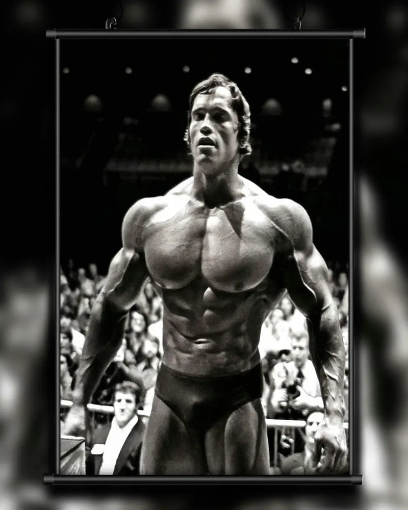 A08 ARNOLD SCHWARZENEGGER Bodybuilding Motivational Gigantic Strong Wall Sticker Silk Poster Art Home Decoration Christmas gift