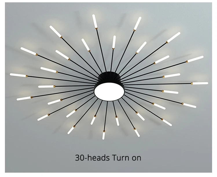 QIYIMEI Modern Ceiling Lights LED Luster Indoor Lighting For Bedroom Hall Living Kids Room Acrylic Lamps Fixture Frame 175-260V