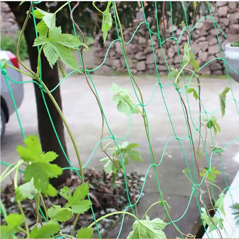 45/36/24 fili di 10x10cm rete da arrampicata per piante cellulari scaffali per piante da giardino rete per fiori vegetali rete da giardino tessitura