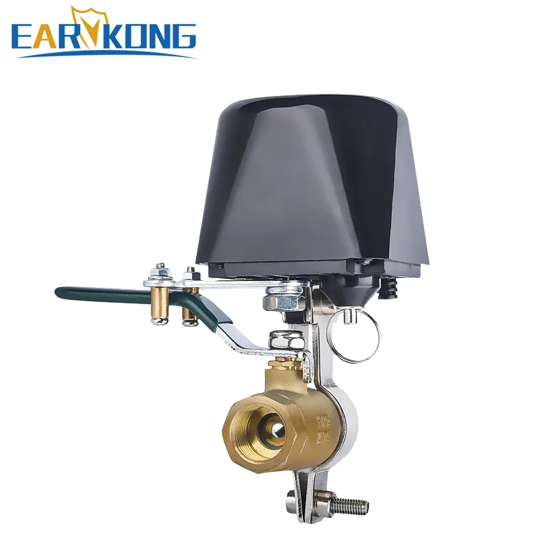 EARYKONG-Válvula de agua con Wifi para el hogar, dispositivo Compatible con Tuyasmart, Smart Life, Alexa, Goole