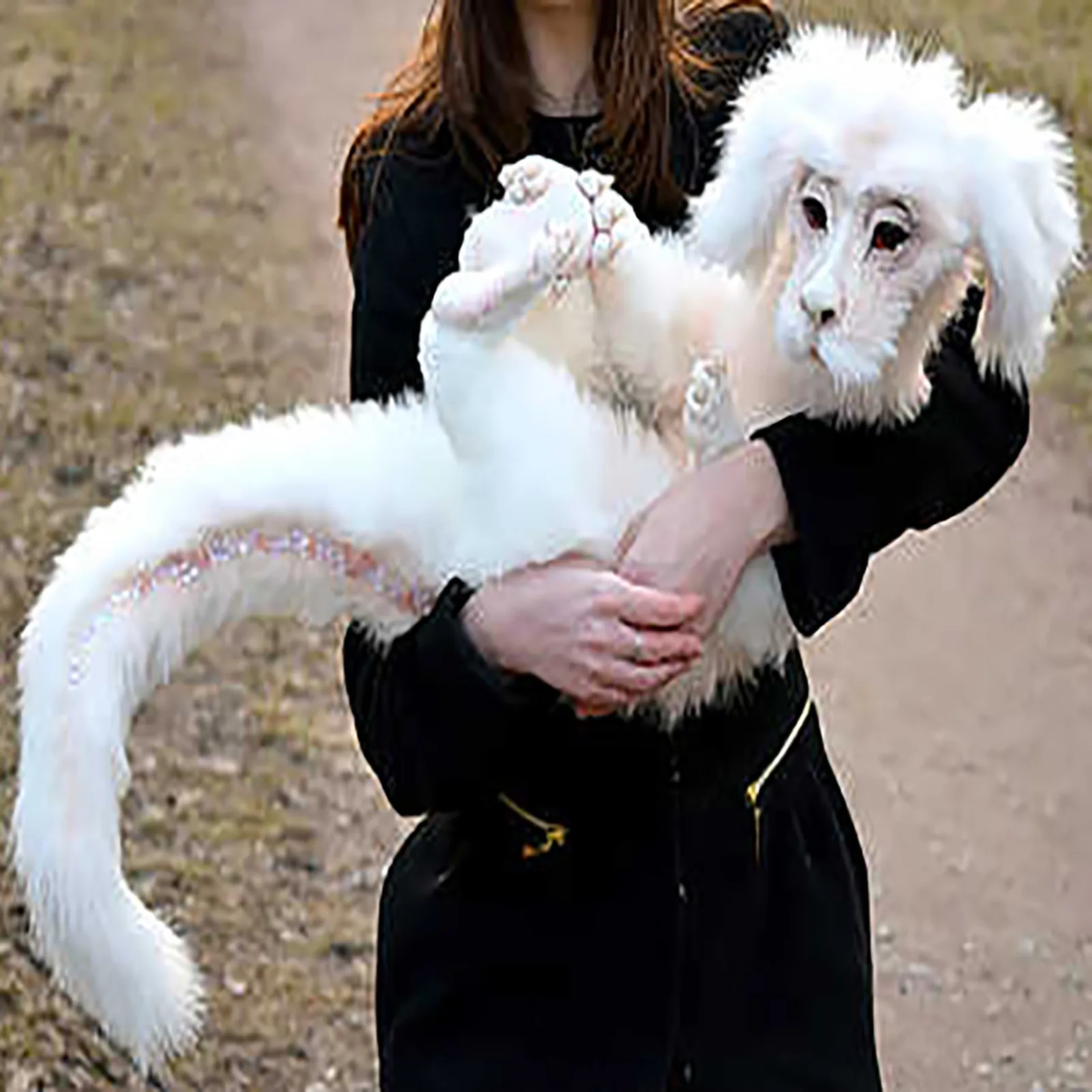 

Дракон Удачи Falkor Doll. Неистовая история, белая кукла-дракон. Милый дракон плюшевые мягкие и плюшевые животные для детей игрушки 2022