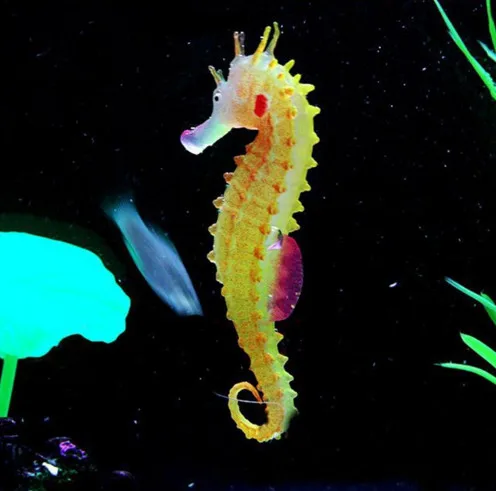 Luminous Seahorse Aquarium Ornament Glow In Dark Landscaping Silicone Sea Horse Glowing Fish Tank Decoration Hippocampus