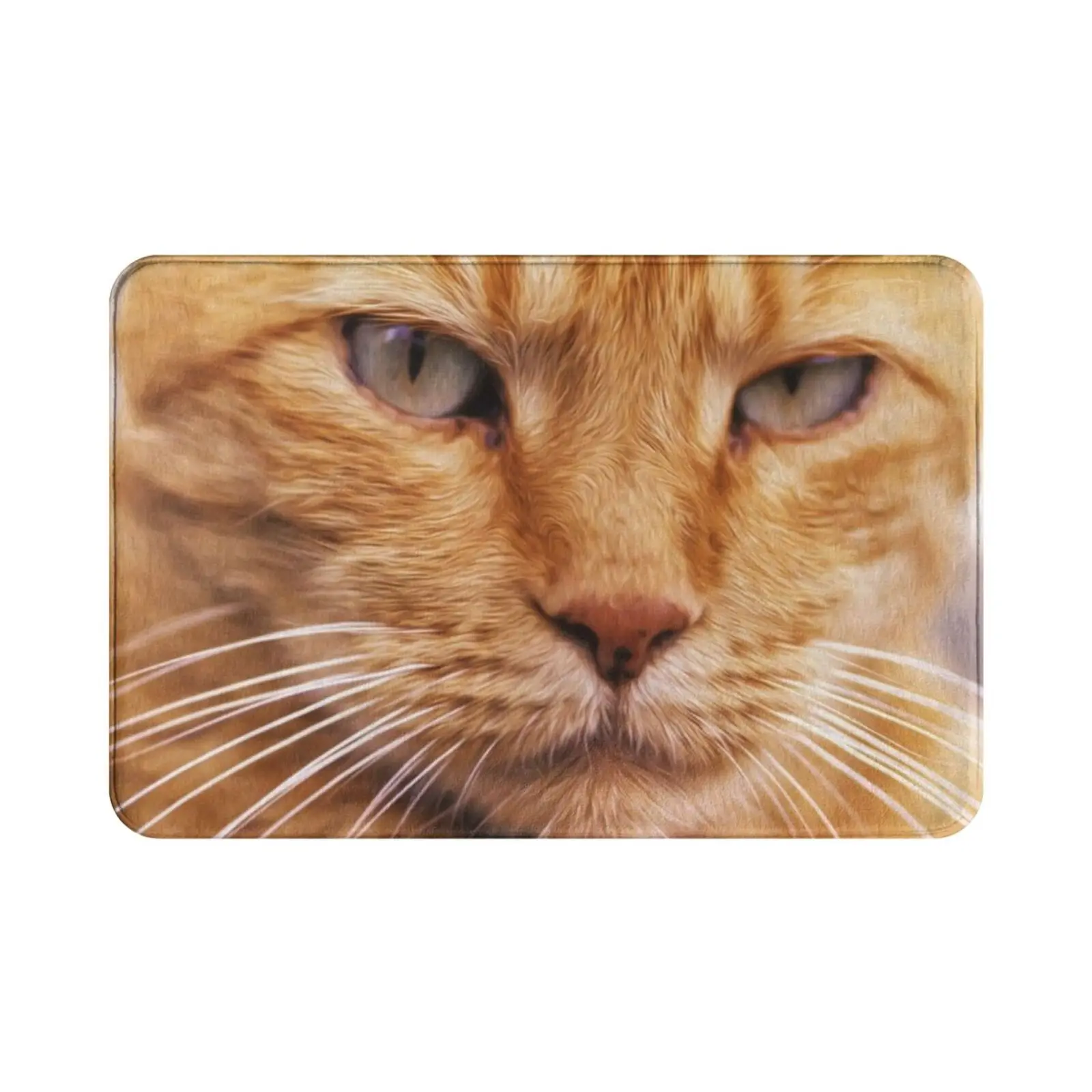 Pissed Ginger Carpet Mat Rug Cushion Soft Cat Feline Kitty Pussy Puss Ginger Orange Cats Eyes Fat Cat Animal Face