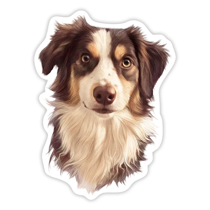 

PVC-0087# Various Sizes Self-adhesive DecalAustralian Border Collie Decal Car Sticker Waterproof Auto Decors on Bumper Rear Wind