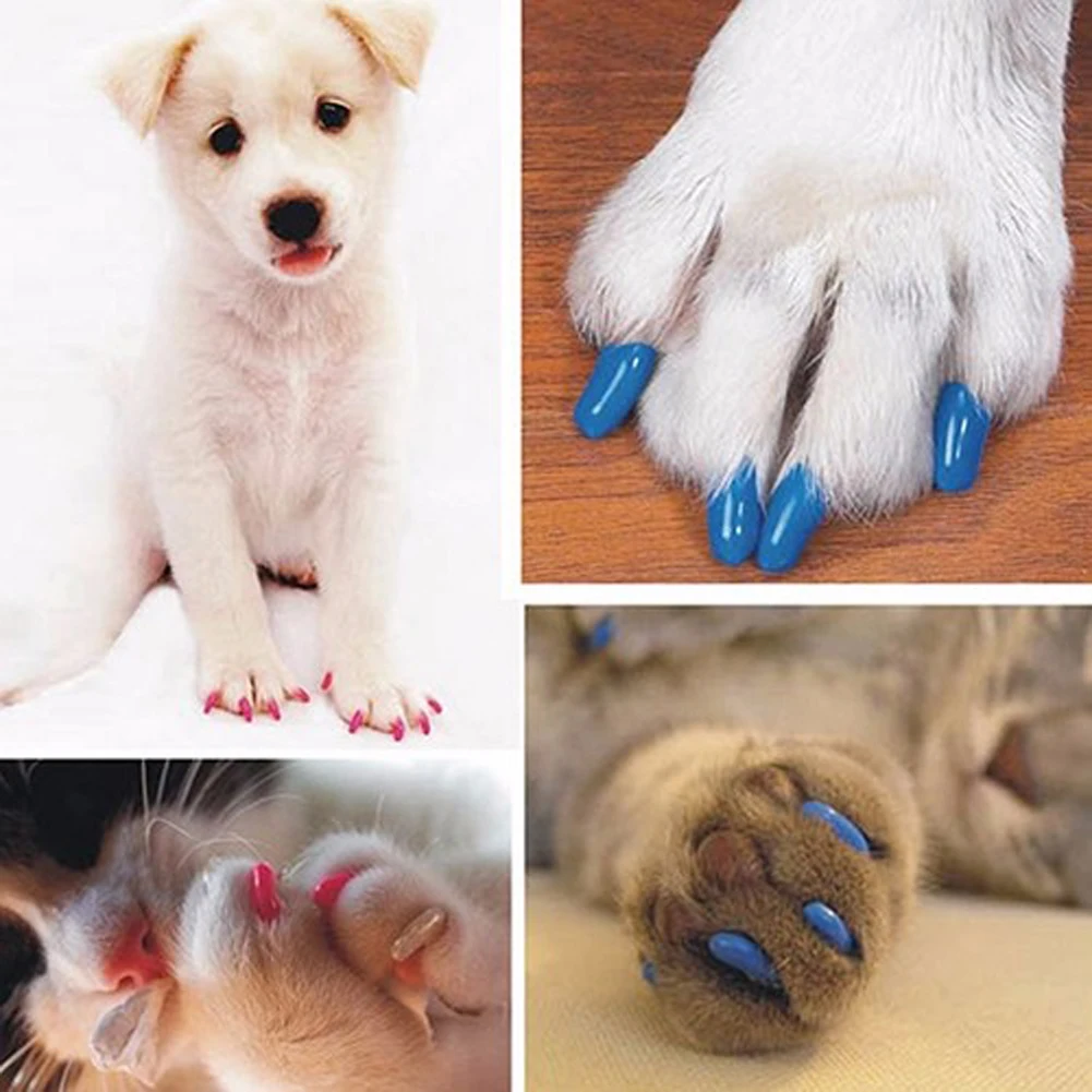 New 20pcs Cute Silicone Soft Cat Nail Caps / Cat Paw Claw / With Arc Pet Nail Protector/Cat Nail Cover With Free Glue Applictor