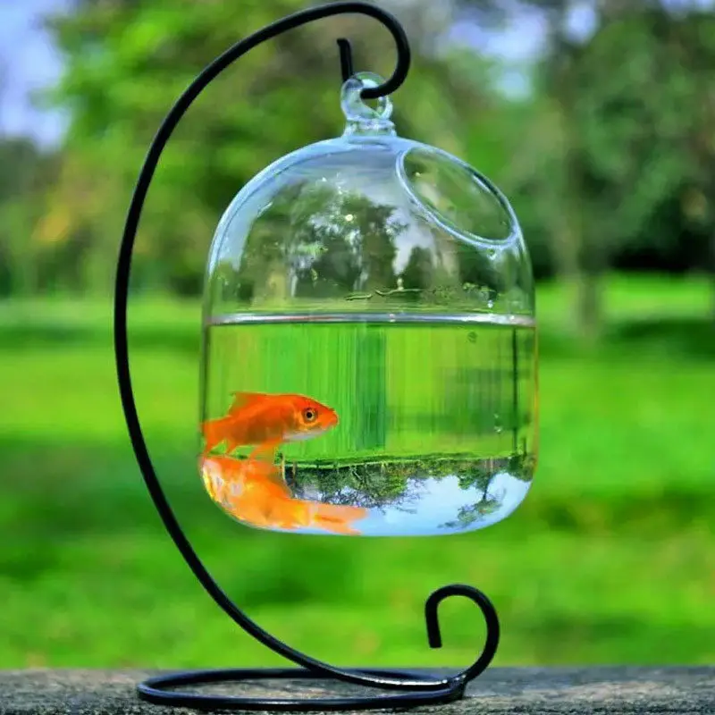 Hanging Transparent Glass Vases Fishbowl Fish Tanks Handmade Aquarium Decor