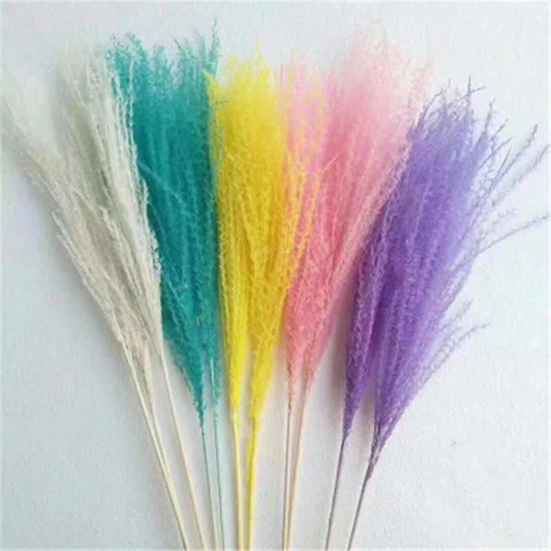 10PCS Natural Dried Flowers Small Pampas Grass Phragmites DIY Artificial Flowers Plants For Decor Home Wedding Decoration