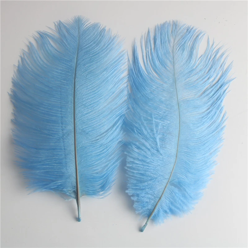 Wholesale 10Pcs/lot Ostrich Feather 6-8 Inch/15-20CM DIY Jewelry Craft Wedding Party Decor Accessories Wedding Decoration Plumas