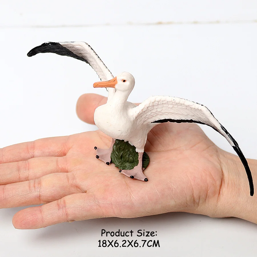 Wilde Vogels Dieren Kalkoen Ara Uil Eagles Struisvogel Pelikaan Beeldjes Speelgoed Dier Action Figure Leren Onderwijs Vogels Geschenken