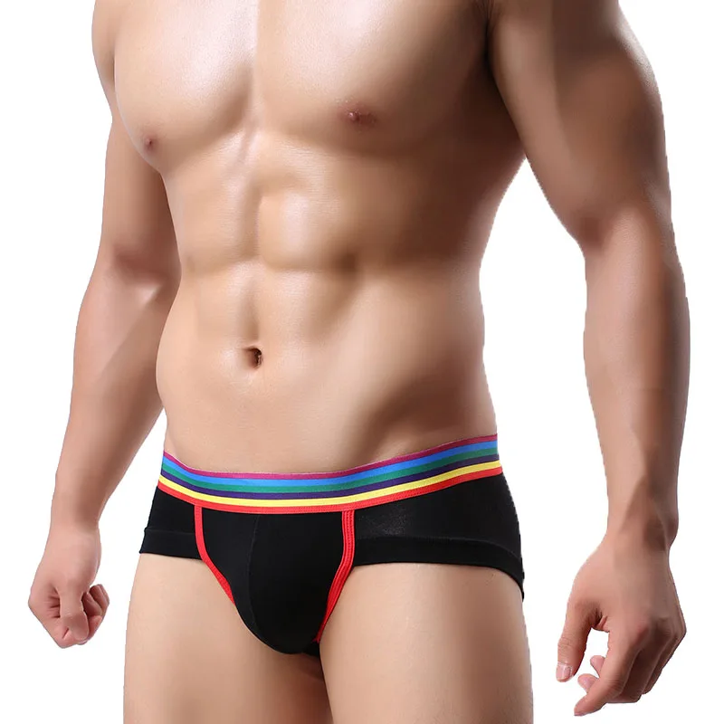 New Underwear Men Striped Briefs Sexy Mens Pouch Panties Comfortable cuecas homme Breathable Cotton Shorts Bluge Underpants