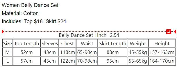 Belly Dance Costume Set Girl\'s Exotic Dancewear for Women Belly Dancing Long Sleeves Top Dance Skirt Oriental Dance Clothing