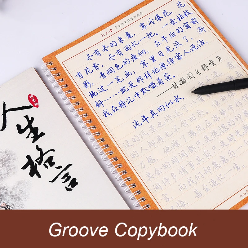 10pcs LiuPinTang Hot Chinese Characters Reusable Groove Calligraphy Copybook Learn chinese Ancient pen Regular script for adult