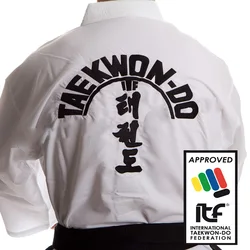 Tuta ultraleggera ITF Taekwondo Taekwondo uniforme assistente Kimono ricamo modello arti marziali Doboks 1-3 Dan per adulto