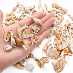 30g/Bag Multi Sizes Acrylic Shell Marine Life Charms Pendant for DIY Women Necklace Jewelry Making Accessories Pendant Wholesale