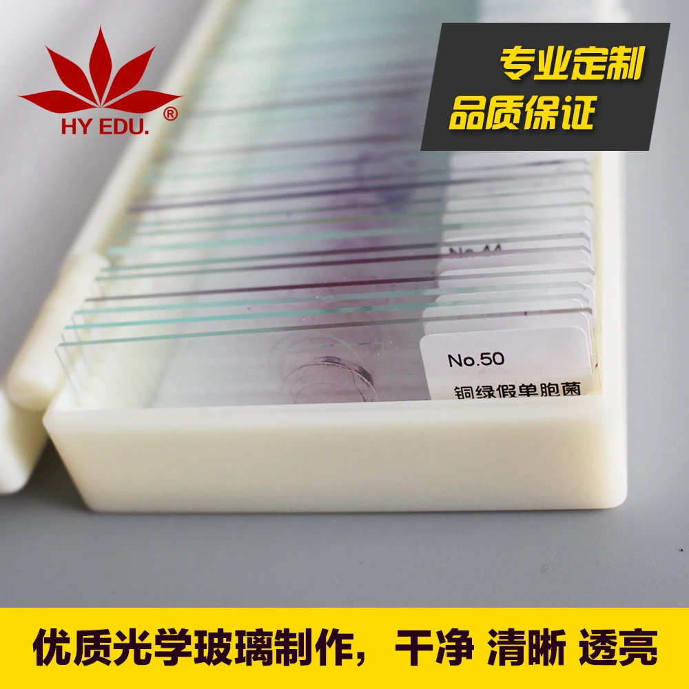 50 Kinds Professional Medical Study Germs Bacterial Fungi Microorganisms Slice Slides Specimen Section Penicillium Aspergillus