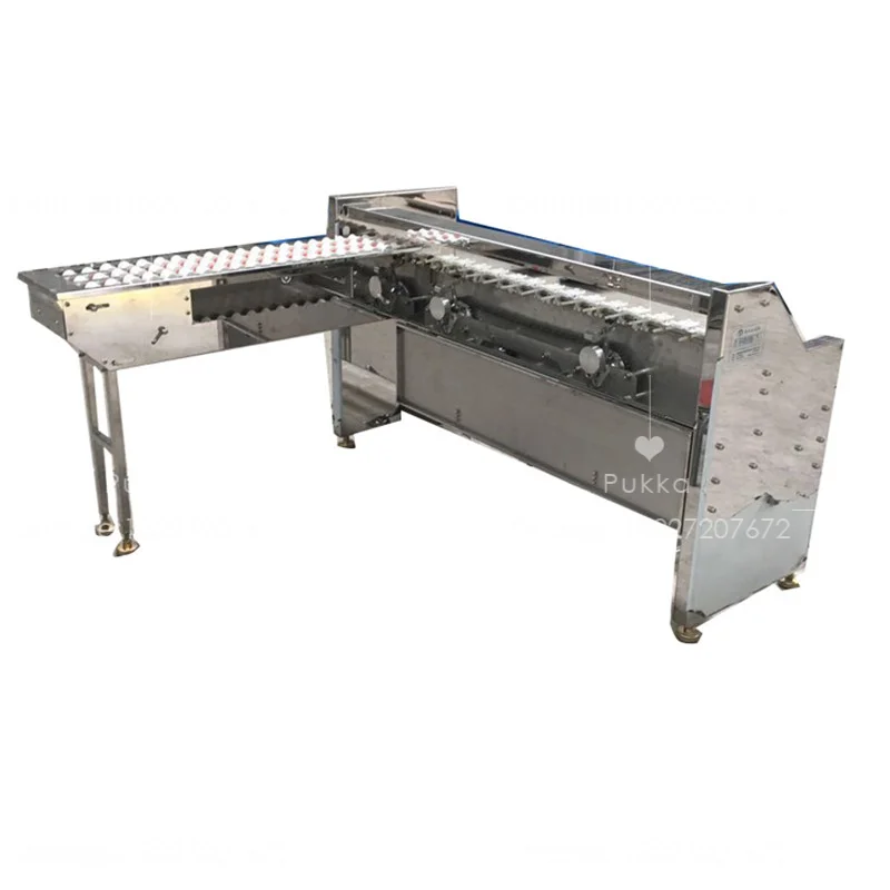 High Precision Chicken Egg Classifying Machine Egg Sorting Machine Egg Grader Machine With Large Capacity