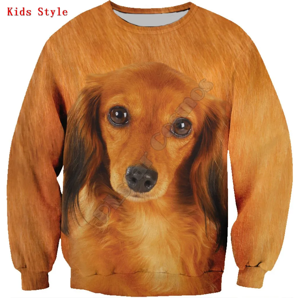 

Dachshund 3d printed Hoodies Pullover Boy For Girl Long Sleeve Shirts Kids Funny Animal Sweatshirt 02