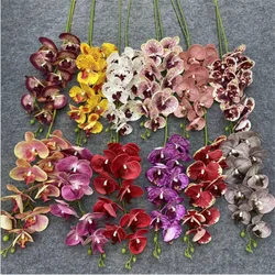One Latex Butterfly Orchid Flowers 7/9 Heads/piece Real Touch Artificial Phalaenopsis Orchid for Home Party Floral Decoration