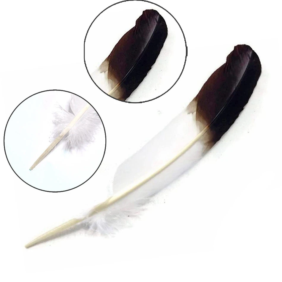 10Pcs Natural Plume White Black Turkey Feathers for Crafts Home DIY Feather Party Wedding Decoration Accessories 25-30cm