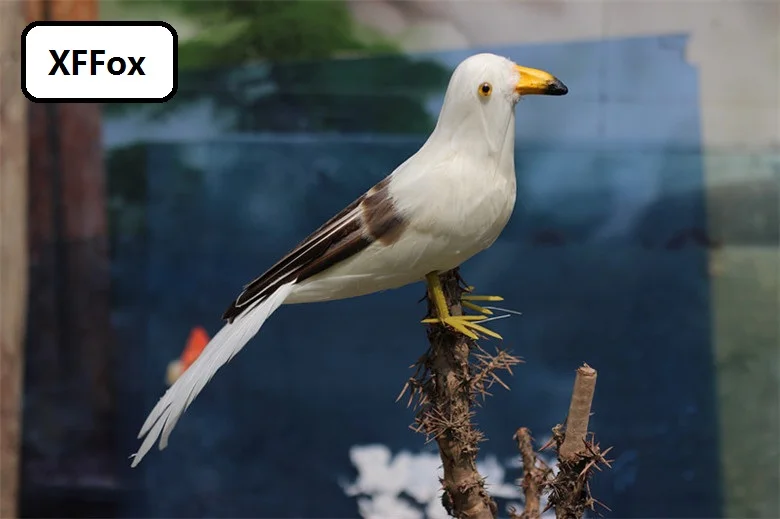 

new real life seagull bird model foam&feather white tail seagull bird gift about 30cm xf2608