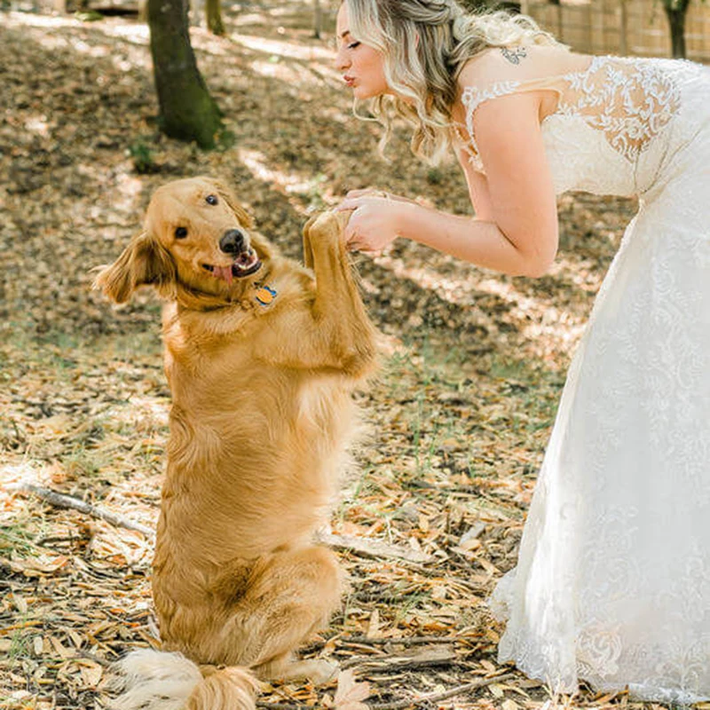 Elegante sereia vestidos de casamento marfim rendas apliques manga curta boné barco pescoço varredura trem vestidos de noiva estilo country vintage