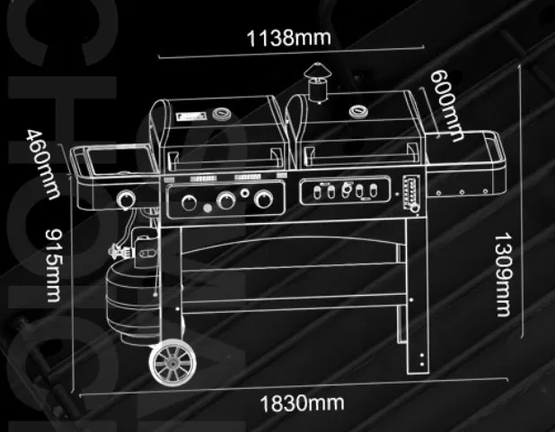 supper quality outdoor gas and charcoal BBQ grill ,double BBQ grill