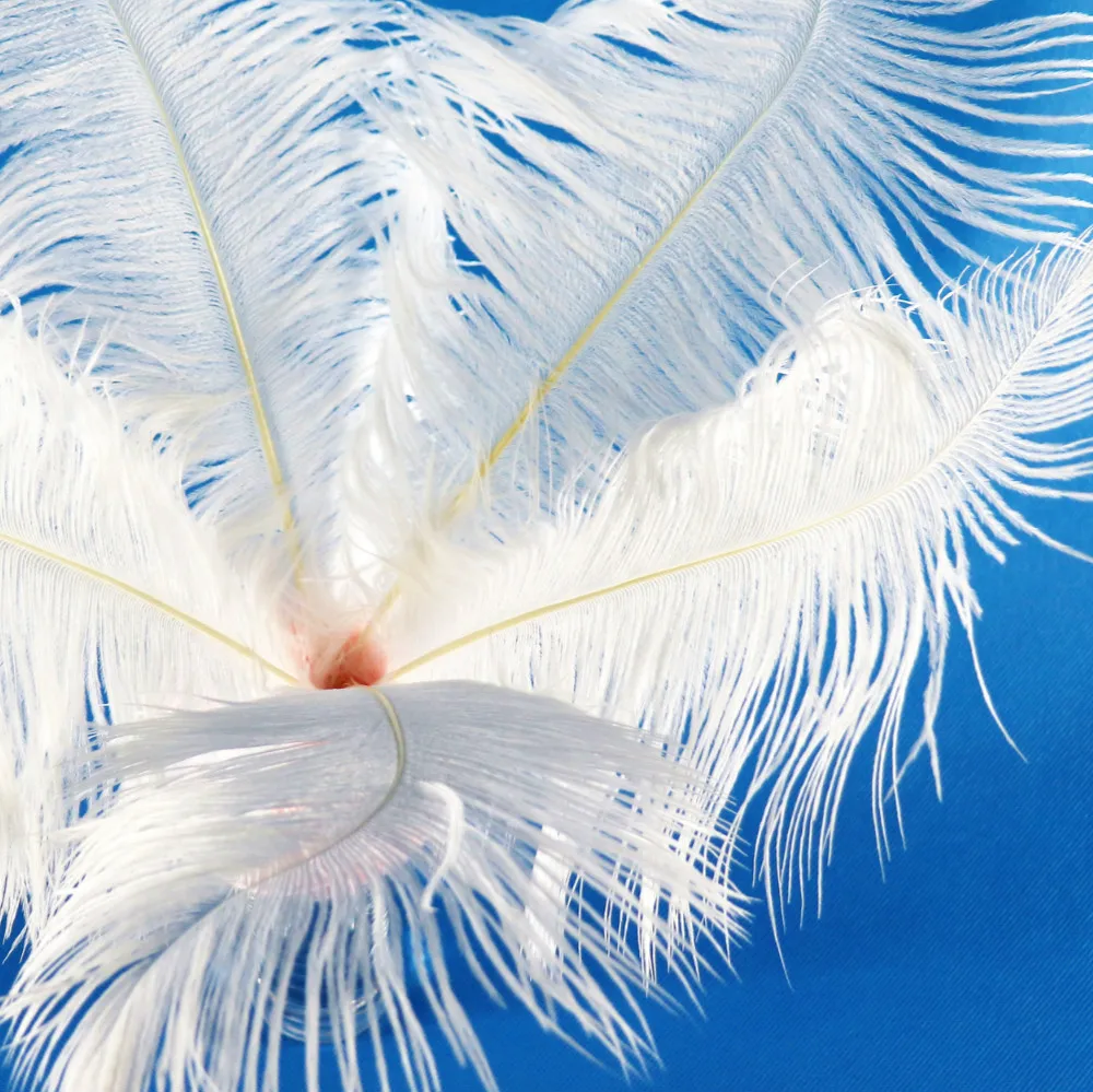 Natural feathers ostrich wholesale price wedding feather centerpiece bleached white ostrich plumes with competitive price